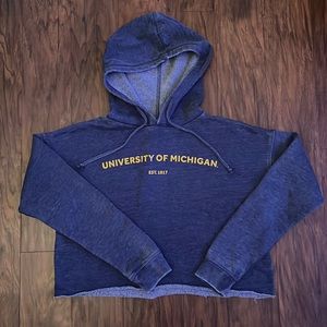 University of Michigan cropped hoodie